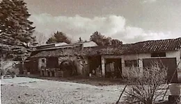 Aste giudiziarie immobiliari online - 5.0