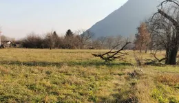 Aste giudiziarie immobiliari online - 1.0