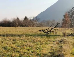 Aste giudiziarie immobiliari online - 2.0