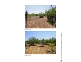 Aste giudiziarie immobiliari online - 3.0