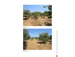 Aste giudiziarie immobiliari online - 4.0