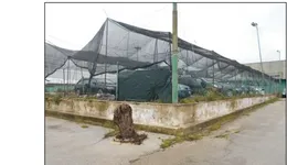 Aste giudiziarie immobiliari online - 3.0