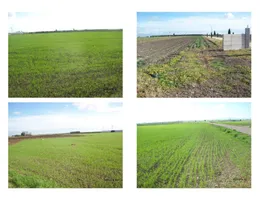 Aste giudiziarie immobiliari online - 3.0