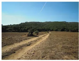 Aste giudiziarie immobiliari online - 7.0