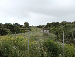 Aste giudiziarie immobiliari online - 9.0