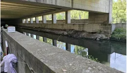 Aste giudiziarie immobiliari online - 2.0