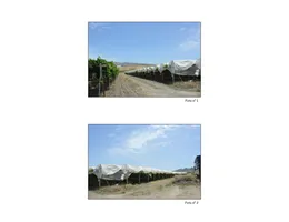 Aste giudiziarie immobiliari online - 2.0