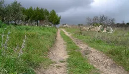 Aste giudiziarie immobiliari online - 6.0