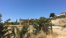 Aste giudiziarie immobiliari online - 1.0