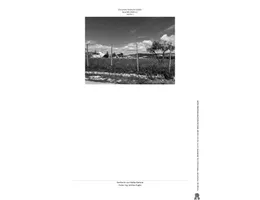 Aste giudiziarie immobiliari online - 3.0