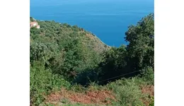 Aste giudiziarie immobiliari online - 3.0