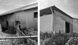 Aste giudiziarie immobiliari online - 7.0