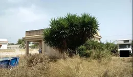 Aste giudiziarie immobiliari online - 10.0