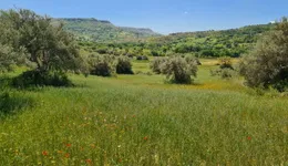 Aste giudiziarie immobiliari online - 4.0