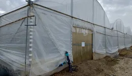 Aste giudiziarie immobiliari online - 11.0