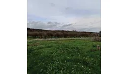 Aste giudiziarie immobiliari online - 7.0