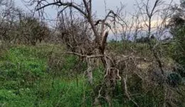 Aste giudiziarie immobiliari online - 8.0