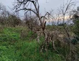 Aste giudiziarie immobiliari online - 8.0