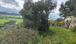 Aste giudiziarie immobiliari online - 6.0