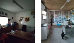 Aste giudiziarie immobiliari online - 8.0