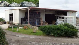 Aste giudiziarie immobiliari online - 6.0