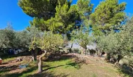 Aste giudiziarie immobiliari online - 12.0