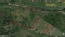 Aste giudiziarie immobiliari online - 5.0