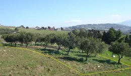 Aste giudiziarie immobiliari online - 1.0
