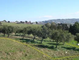 Aste giudiziarie immobiliari online - 4.0