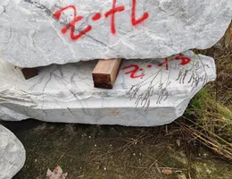 Aste giudiziarie mobiliari online - 11.0