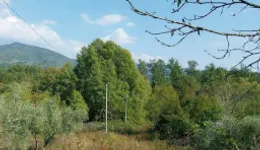 Aste giudiziarie immobiliari online - 3.0
