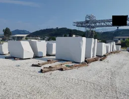 Aste giudiziarie mobiliari online - 1.0