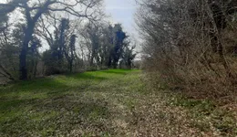 Aste giudiziarie immobiliari online - 8.0