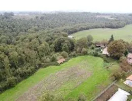 Aste giudiziarie immobiliari online - 1.0