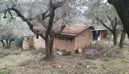 Aste giudiziarie immobiliari online - 9.0