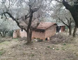 Aste giudiziarie immobiliari online - 11.0