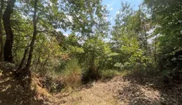 Aste giudiziarie immobiliari online - 3.0