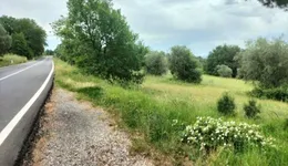 Aste giudiziarie immobiliari online - 4.0