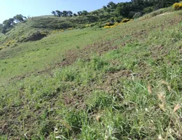 Aste giudiziarie immobiliari online - 2.0