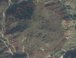 Aste giudiziarie immobiliari online - 7.0