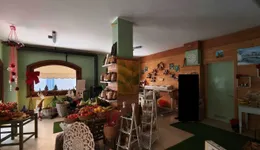 Aste giudiziarie immobiliari online - 6.0