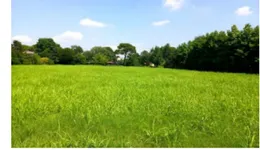 Aste giudiziarie immobiliari online - 4.0