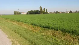 Aste giudiziarie immobiliari online - 10.0