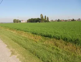 Aste giudiziarie immobiliari online - 10.0