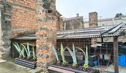 Aste giudiziarie immobiliari online - 8.0
