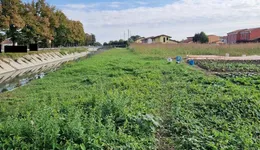 Aste giudiziarie immobiliari online - 7.0