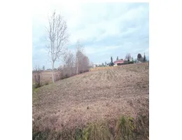 Aste giudiziarie immobiliari online - 10.0