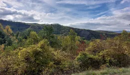 Aste giudiziarie immobiliari online - 6.0