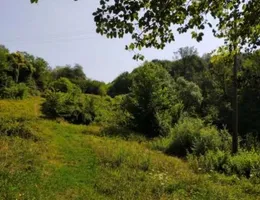 Aste giudiziarie immobiliari online - 3.0