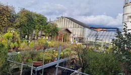 Aste giudiziarie immobiliari online - 2.0